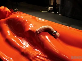 Boundlads - senstitive in vacbed